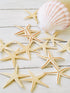 natural baby starfish for sale